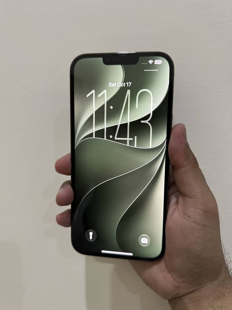 Apple iPhone 13 Pro Max 256gb 1