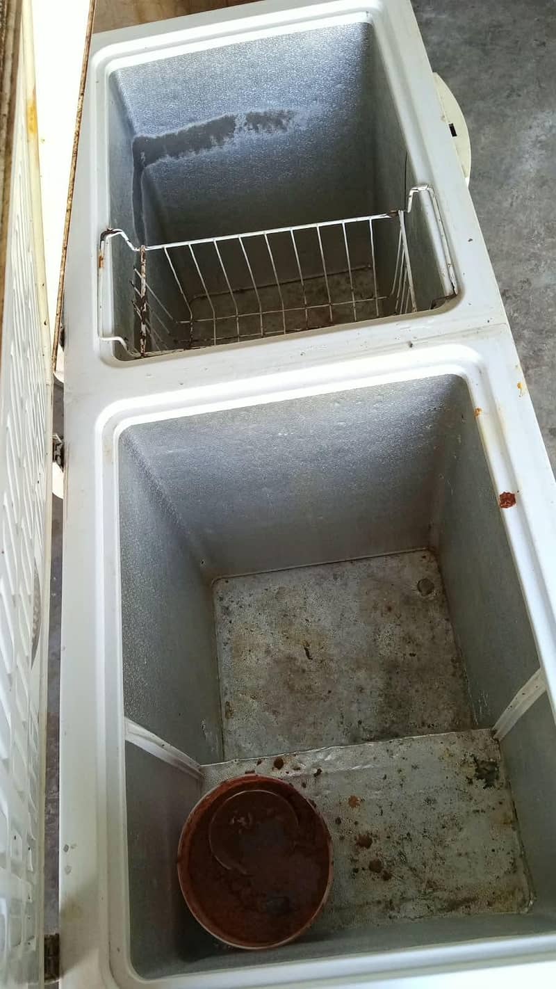 Haier D Freezer 1