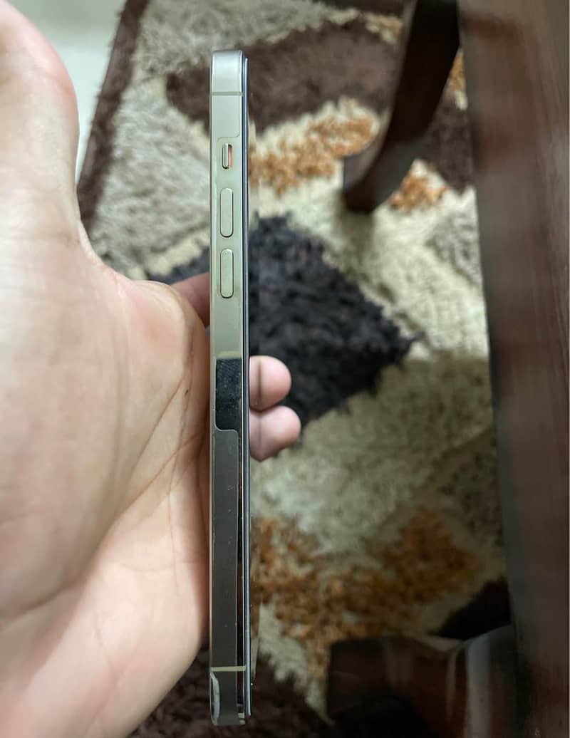 Apple iPhone 14 Pro Max 1