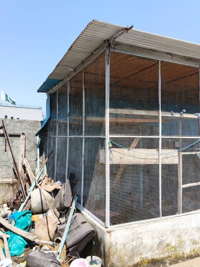 Birds shed