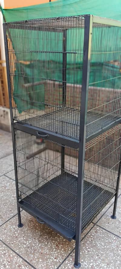 Raw Parrot Cages