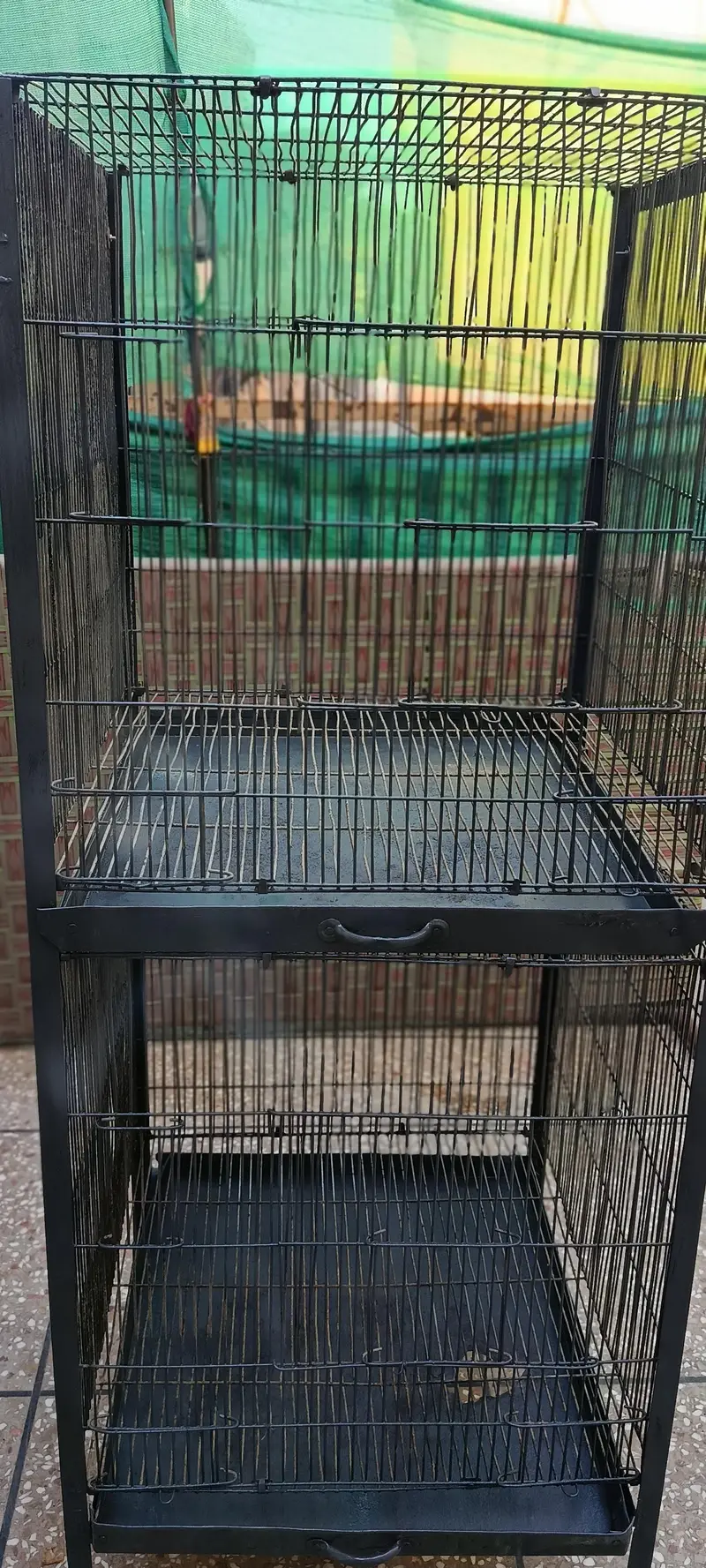 Raw Parrot Cages — photo 2