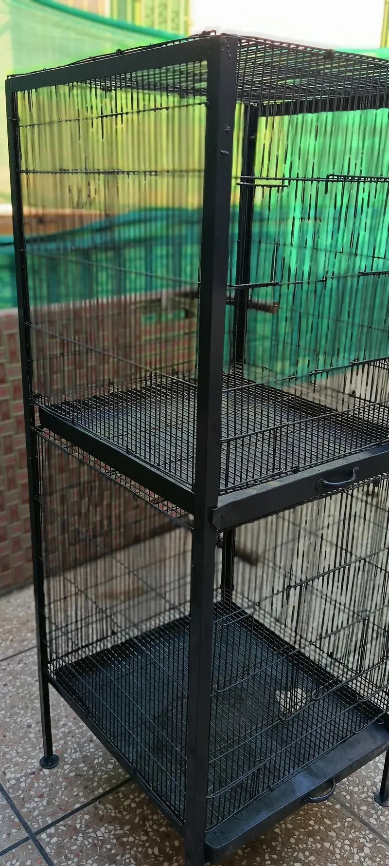 Raw Parrot Cages — photo 3