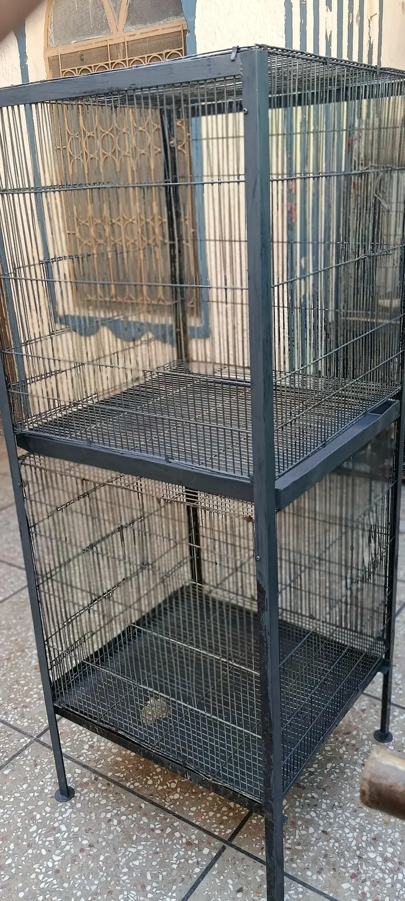 Raw Parrot Cages — photo 5
