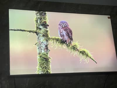 TCL 65 inch Almost New Qled QD HD Mini C6K urgent sale