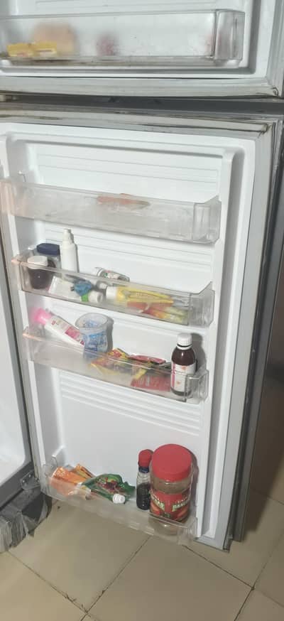 Refrigerator with steplaizr.