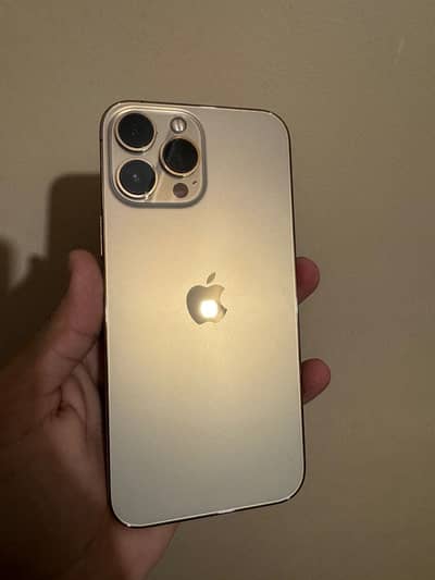 Apple iPhone 13 Pro Max