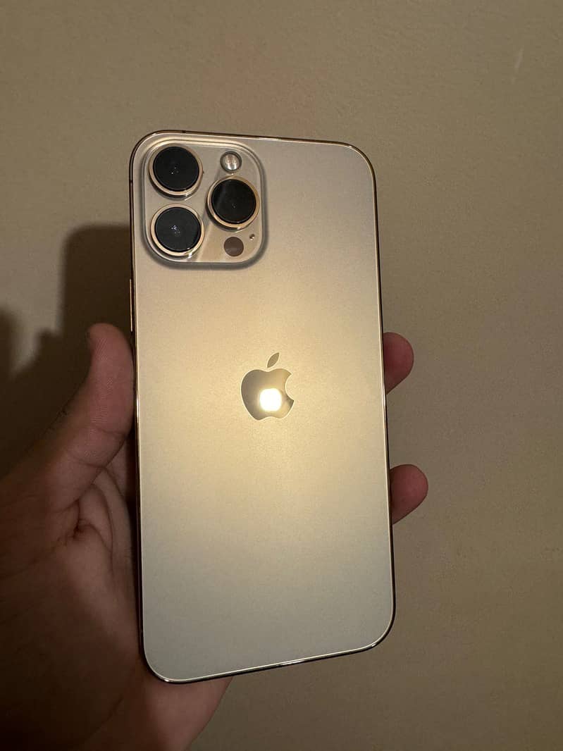 Apple iPhone 13 Pro Max 0