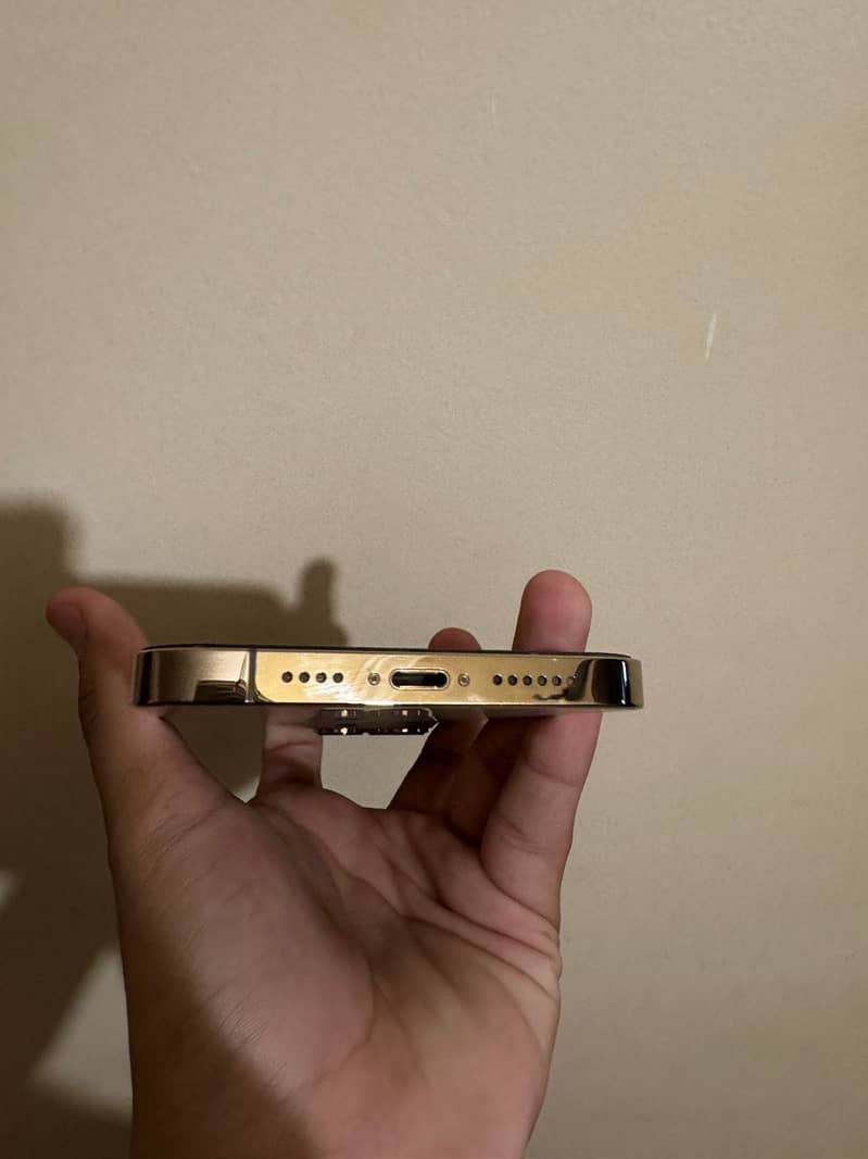 Apple iPhone 13 Pro Max 1
