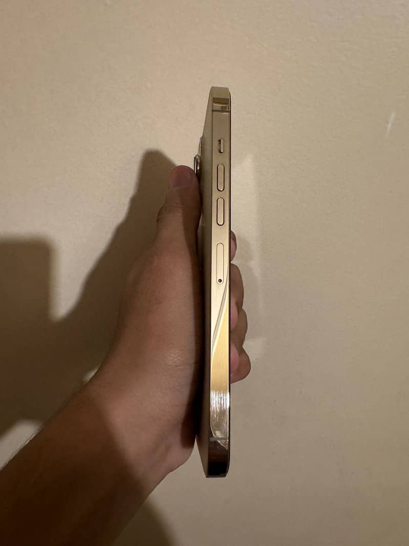 Apple iPhone 13 Pro Max 2