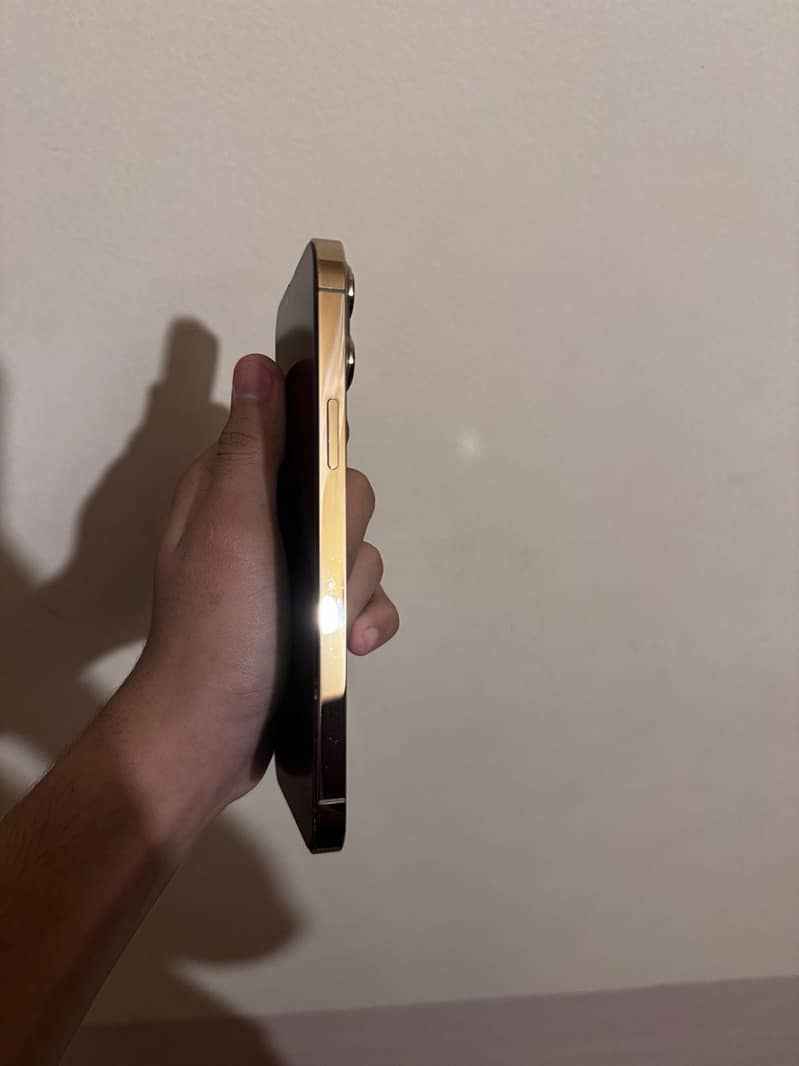 Apple iPhone 13 Pro Max 3
