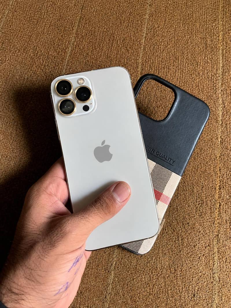 Apple iPhone 13 Pro Max 1