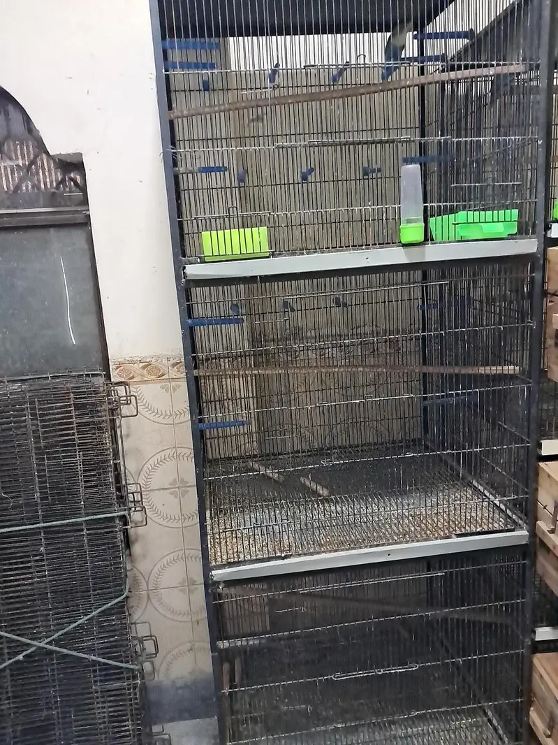 Spot Welding 3 Portion Cage Available — photo 2