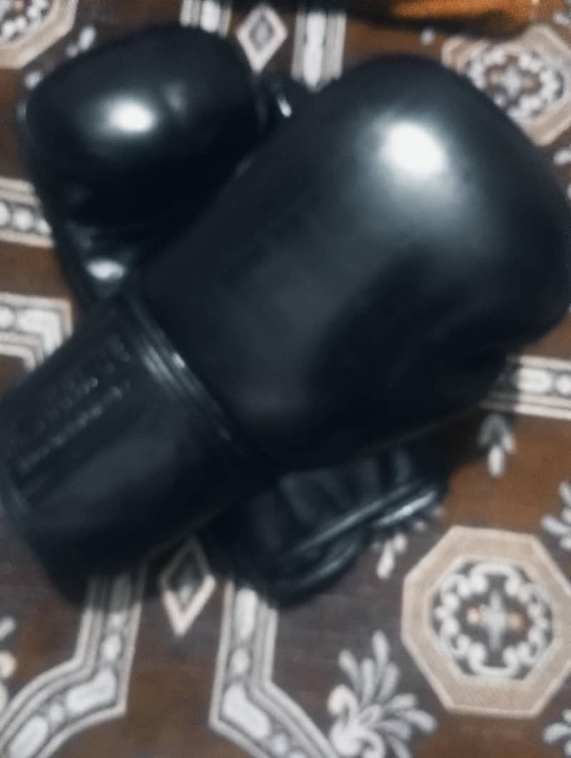 BOXING GLOVES 2