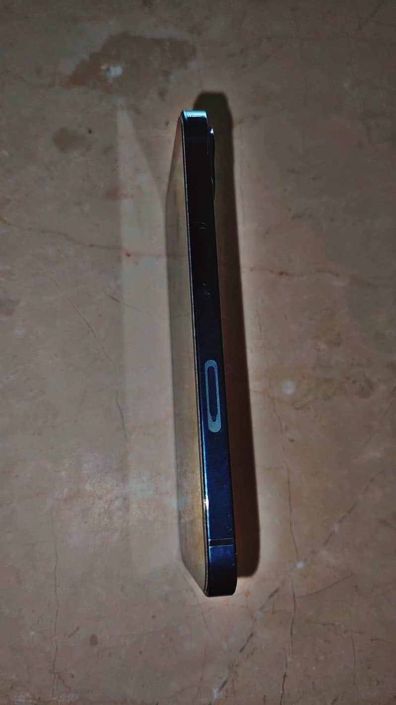 Apple iPhone 13 0