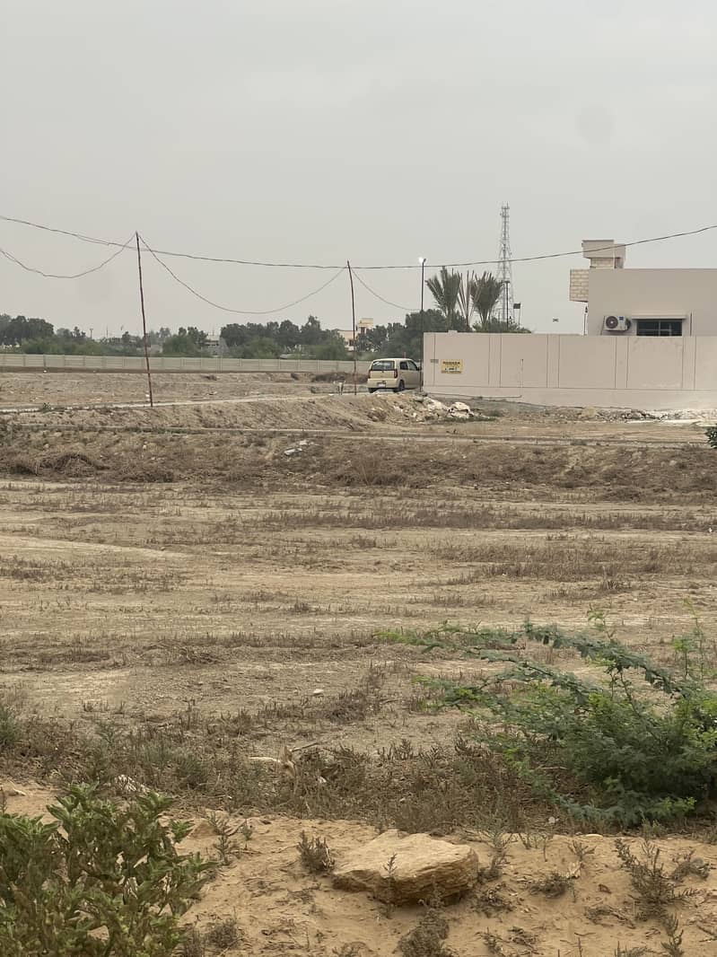 Transfer And Leased Plot 0