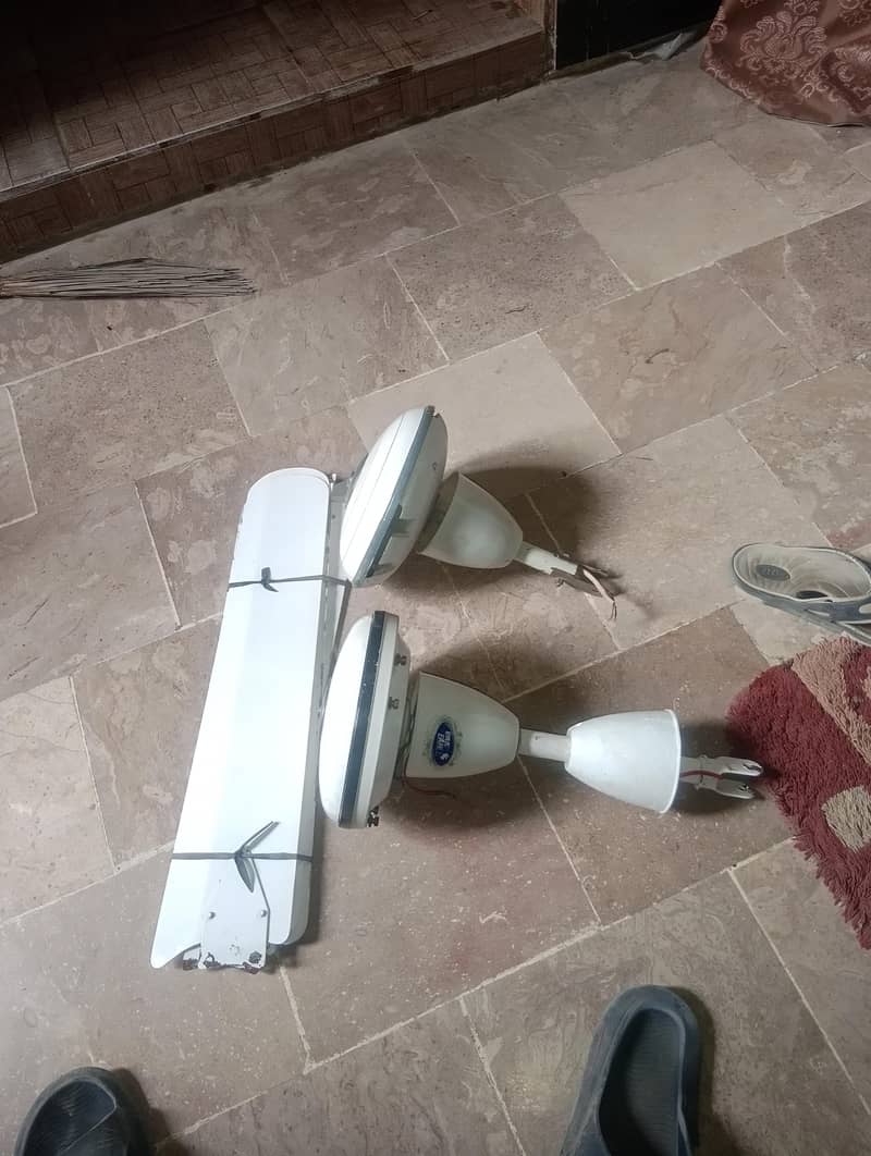 ceiling fans 1