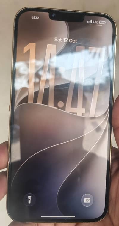 Apple iPhone 13 Pro Max