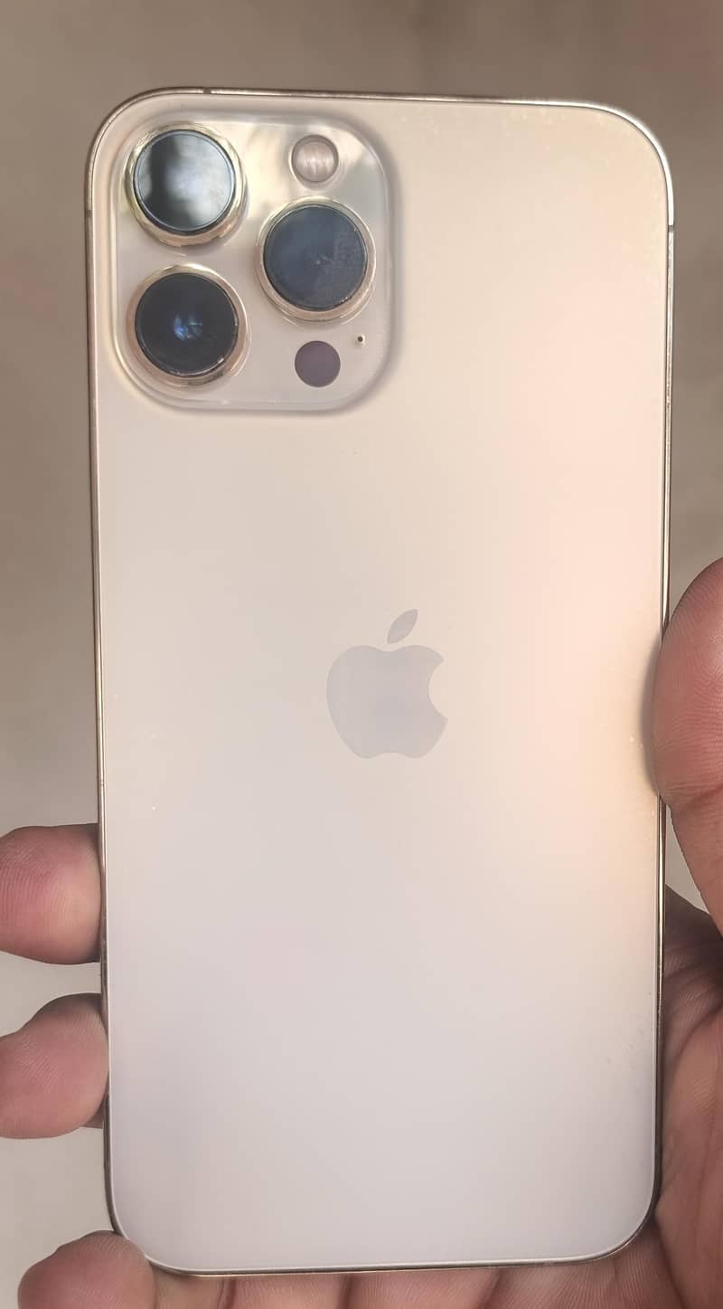 Apple iPhone 13 Pro Max 1