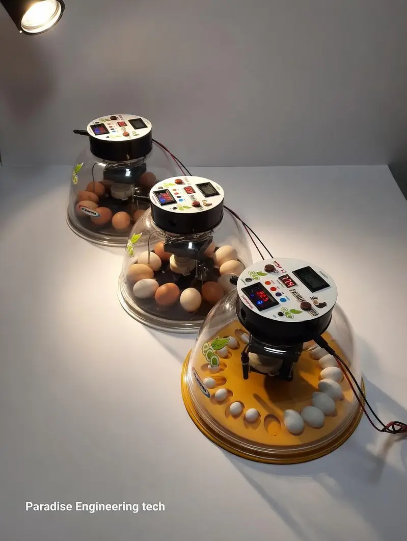 eggs incubators and brooders — photo 2