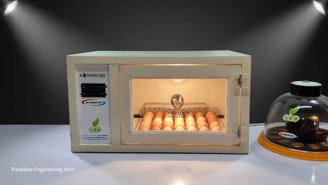 eggs incubators and brooders — photo 4
