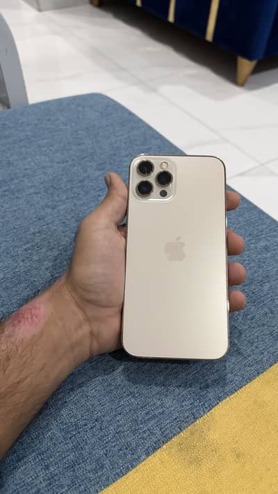 Apple iPhone 12 Pro Max pta