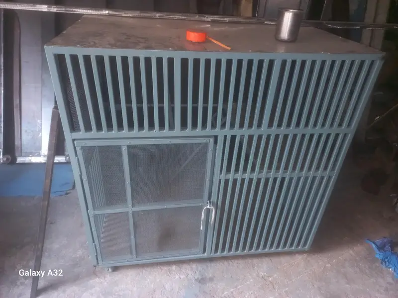 one birds animals pinjra urgently sale — photo 2