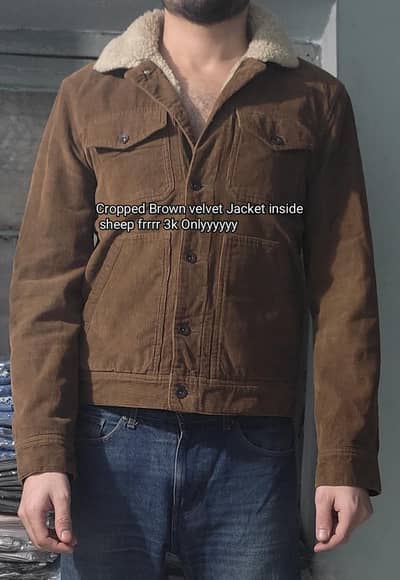 all are Branded Jacket's for Mens