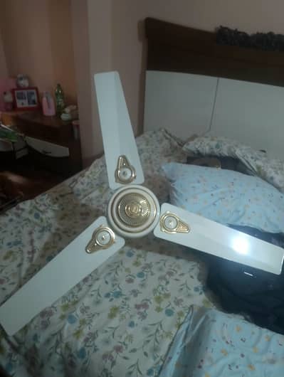 GFC Ceiling fan fancy design copper winding 56 inch 100% working