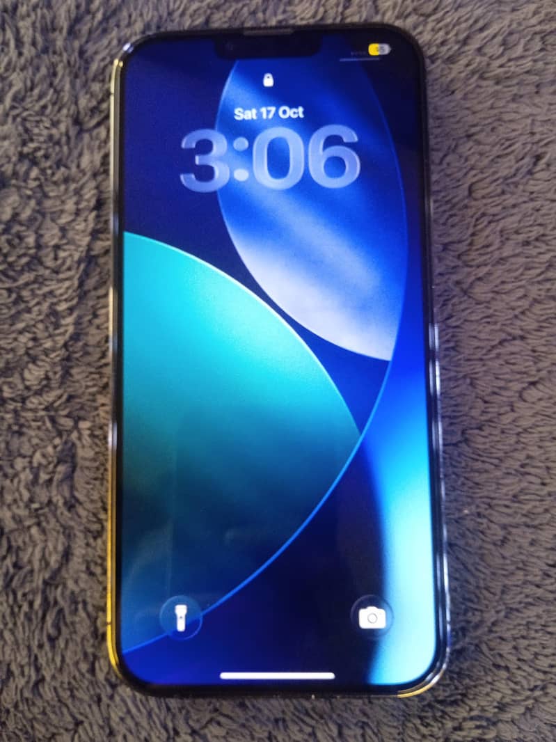 Apple iPhone 13 pro max 1