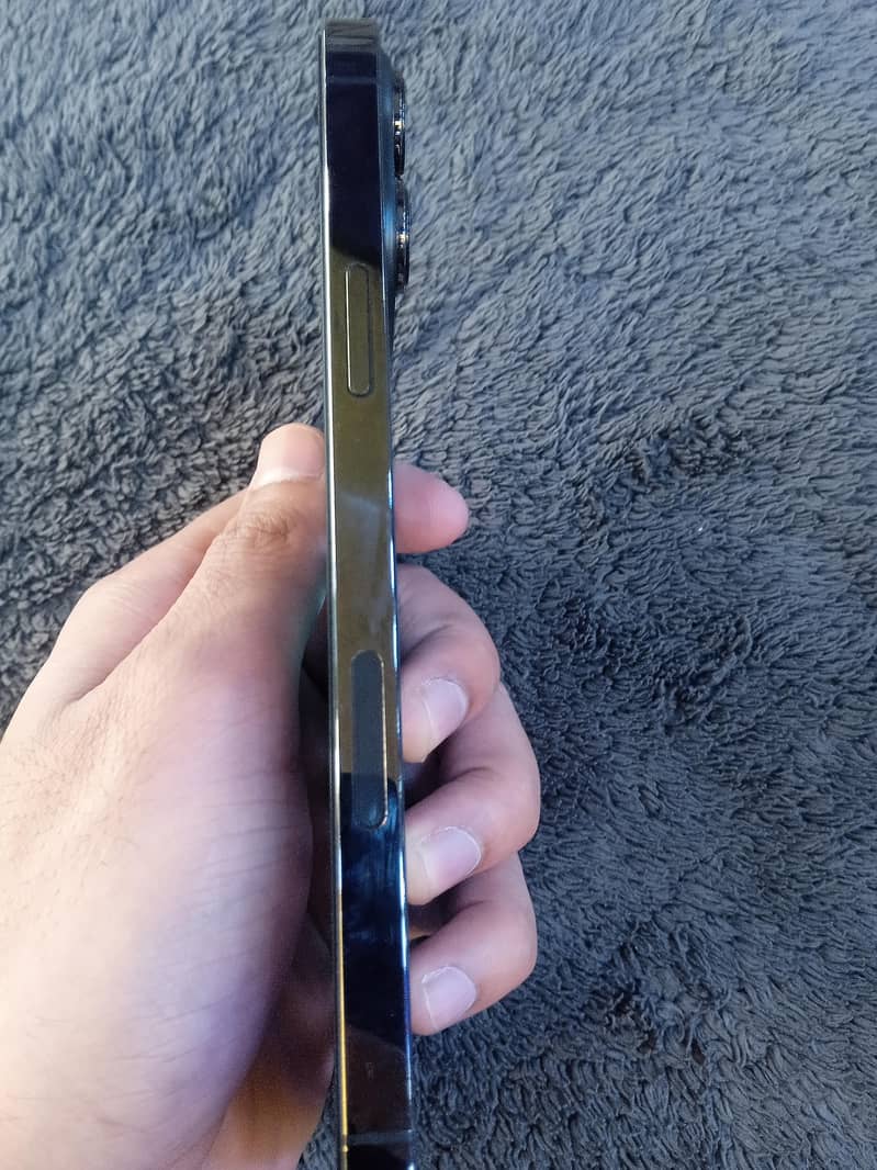 Apple iPhone 13 pro max 2