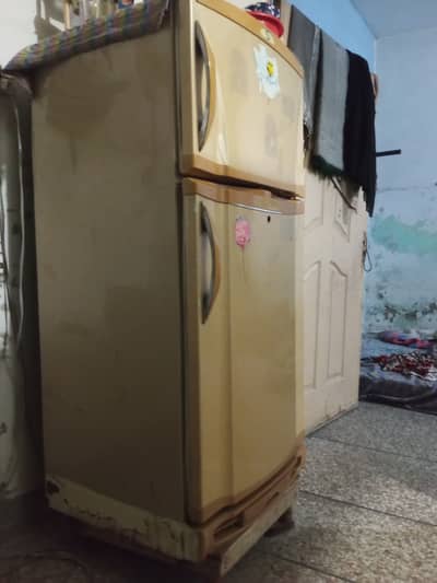 Frejh for sale