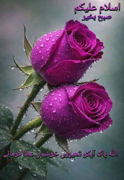Zeeshan Ali