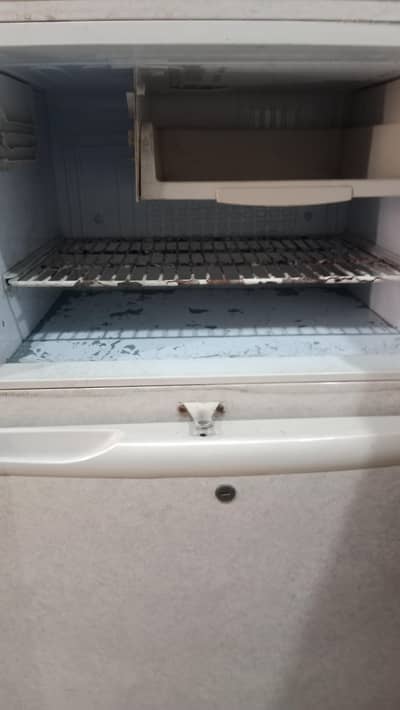pel refrigerator for sale