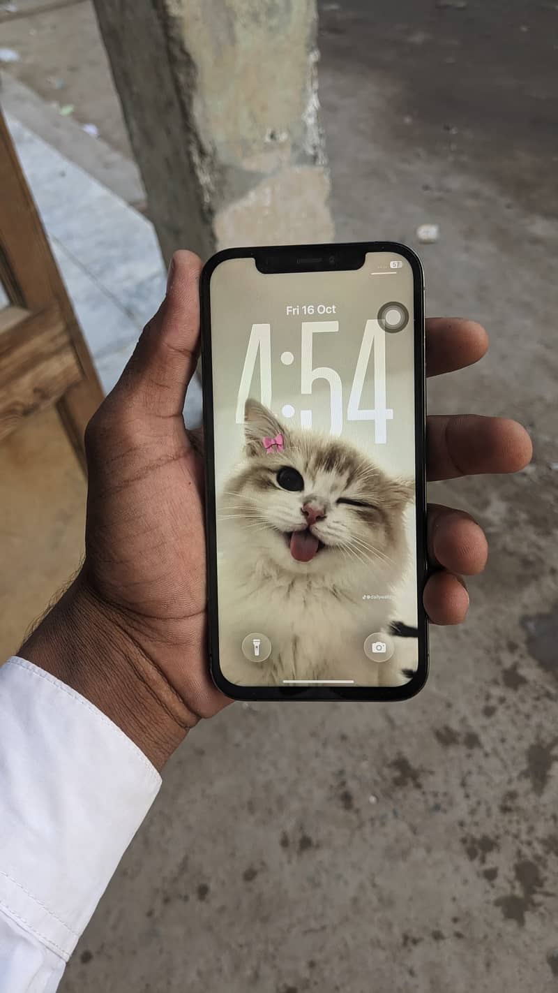 Apple iPhone 12 Pro 4