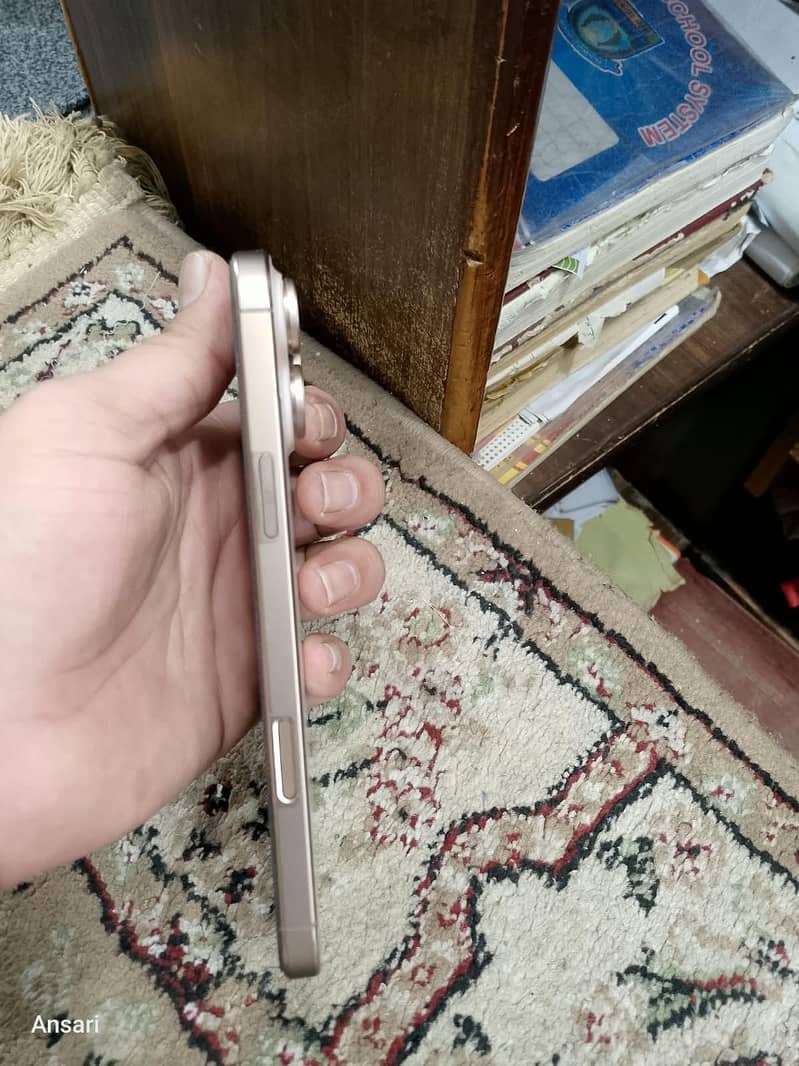 Apple iPhone 16 Pro Max 1