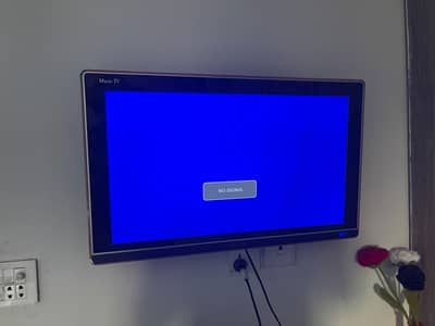 Samsung LED Chaina