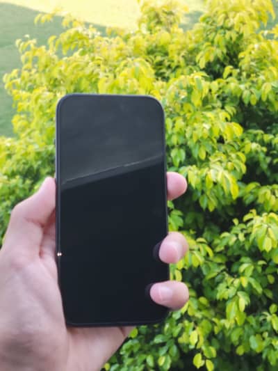 Apple iPhone 15