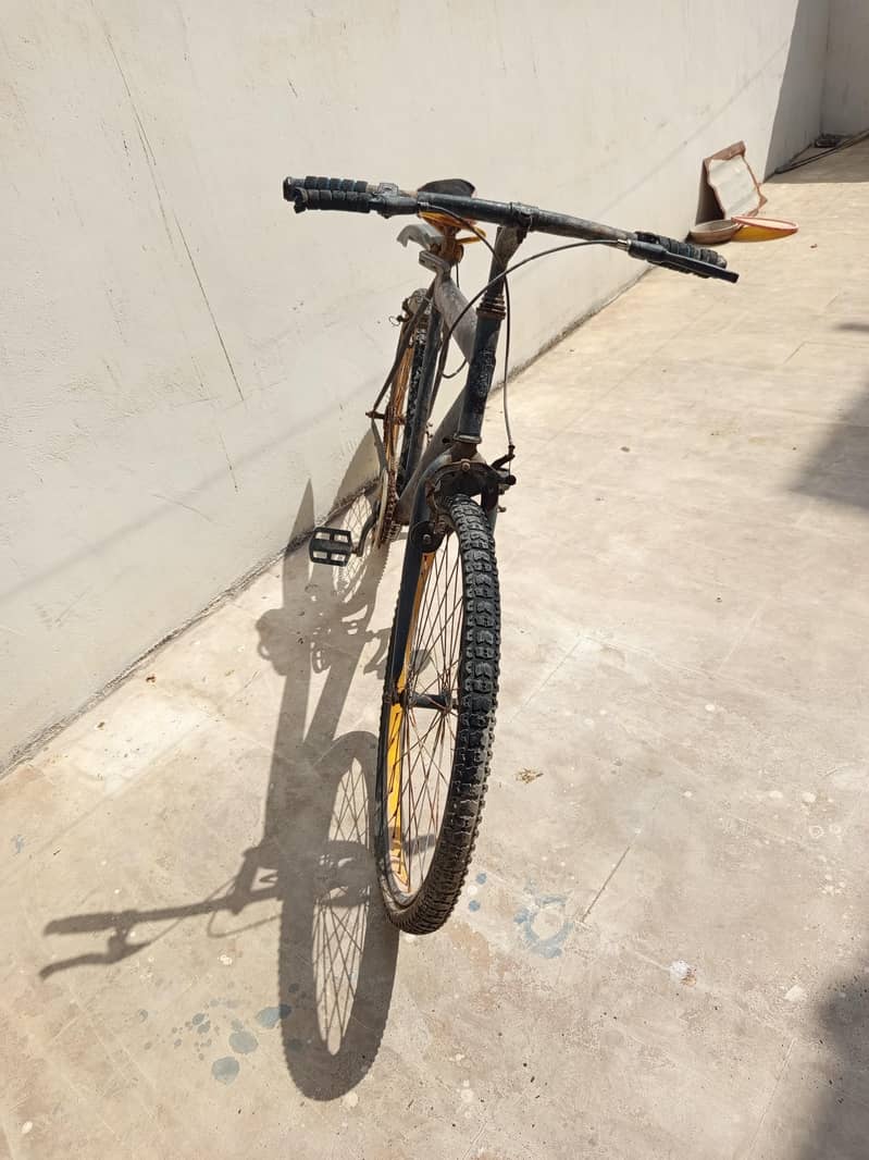 bicycle 1