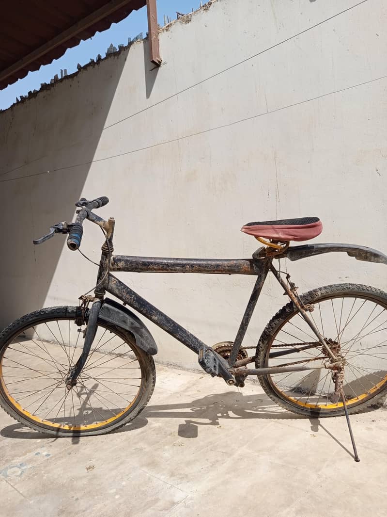 bicycle 2