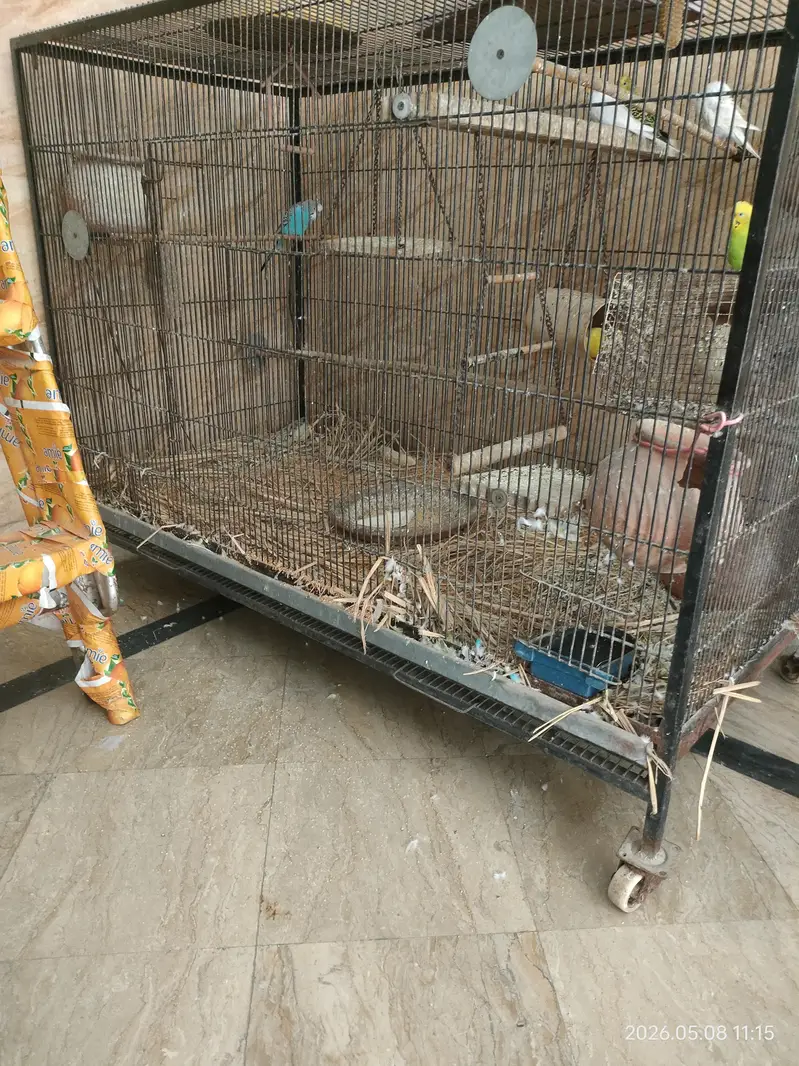 Parrots Cage for sale — photo 3