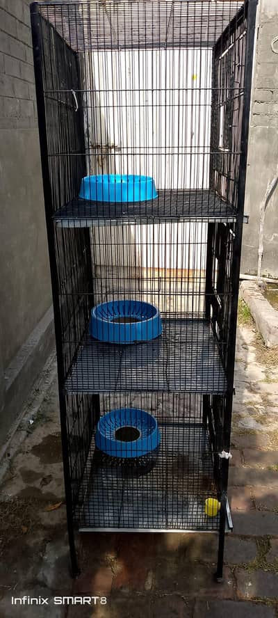 Cage birds
