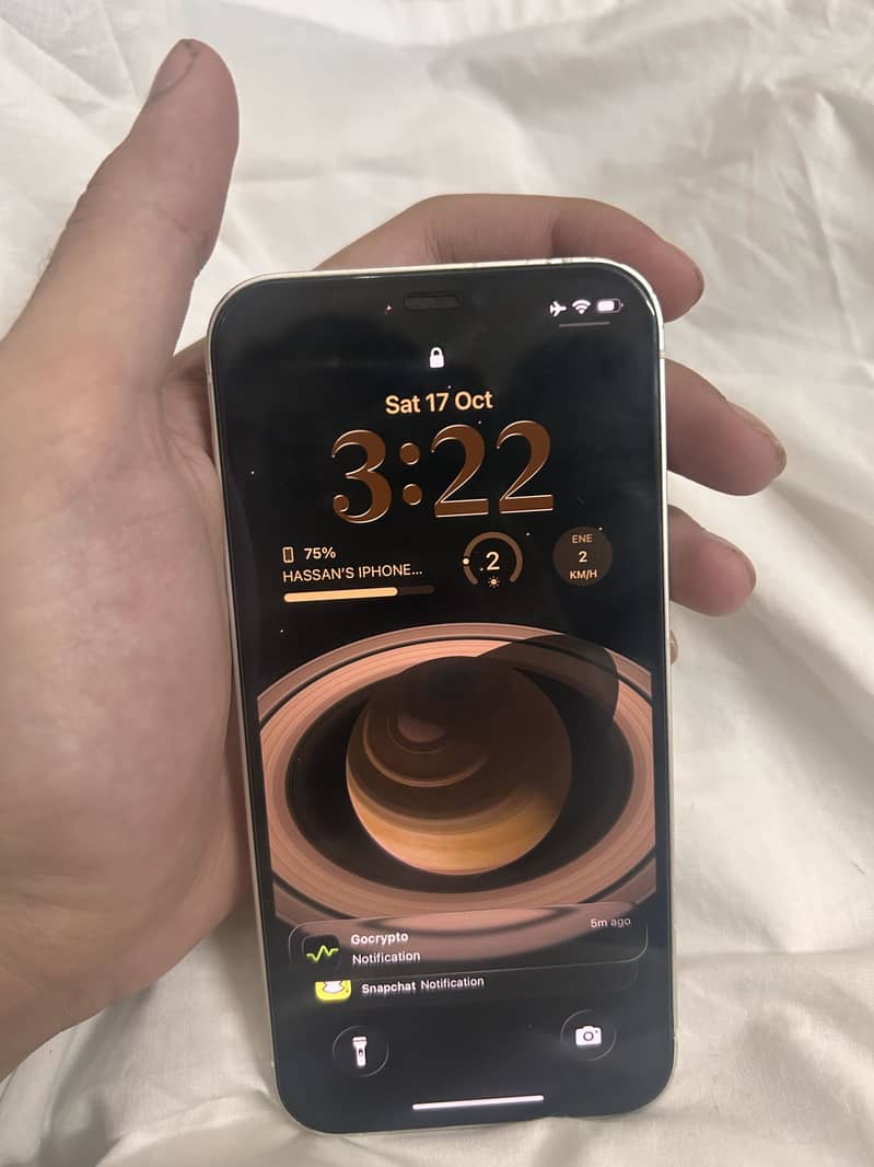 Apple iPhone 12 1