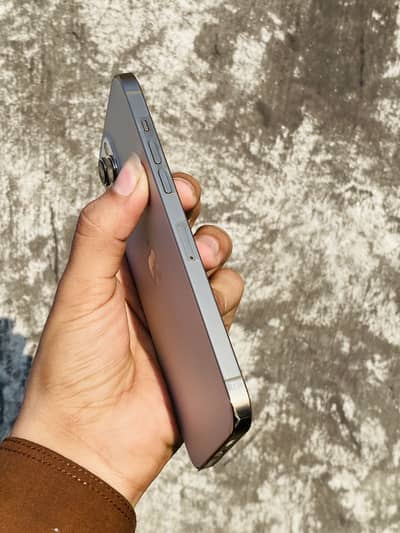 Apple iPhone 12 Pro Max 512GB Waterpack