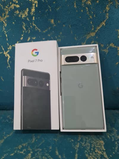 Google Pixel 7 Pro official pta