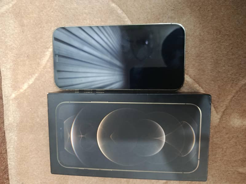 Apple iPhone 12 Pro 1