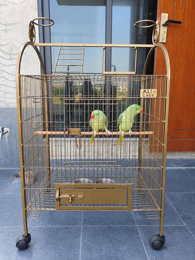 Raw Parrots Confirm Pair With Antique Cage