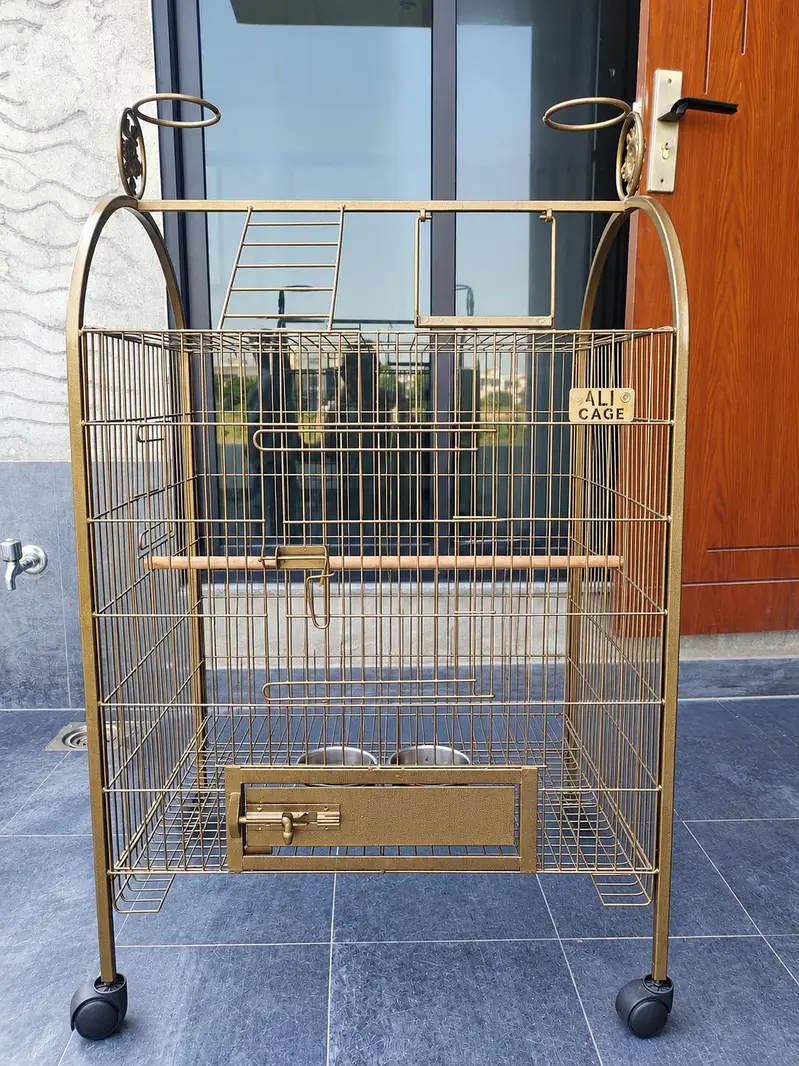Raw Parrots Confirm Pair With Antique Cage — photo 3