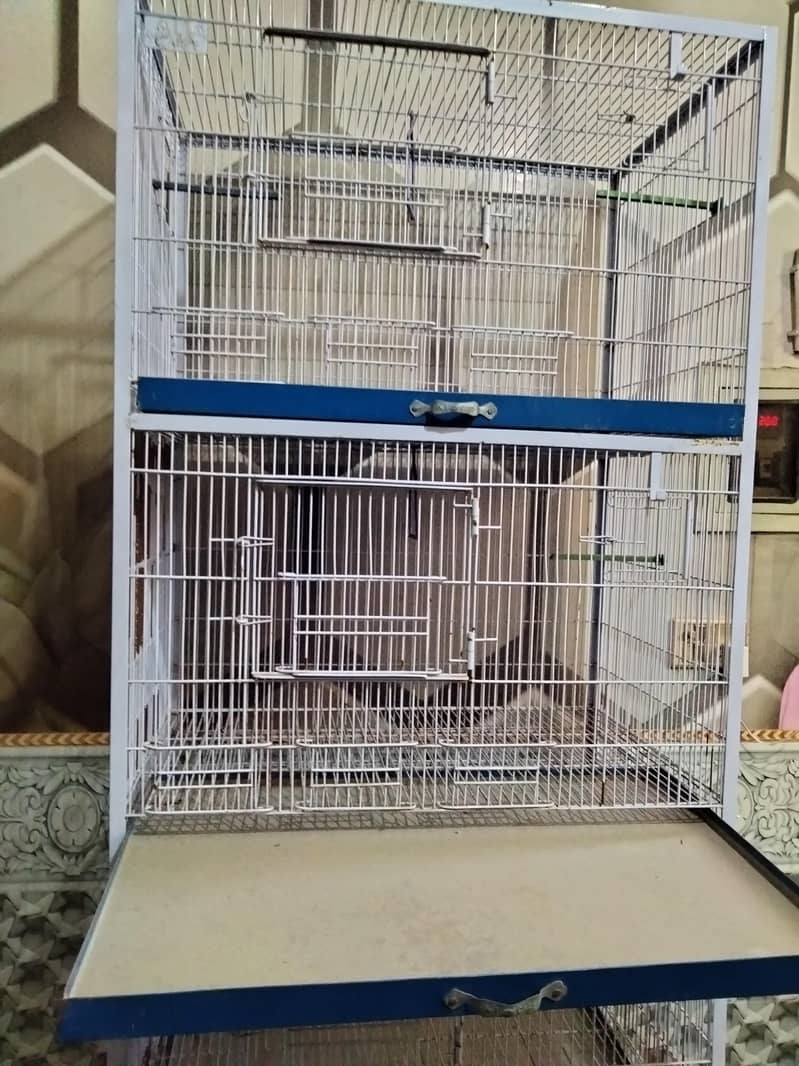 parrots cage 0