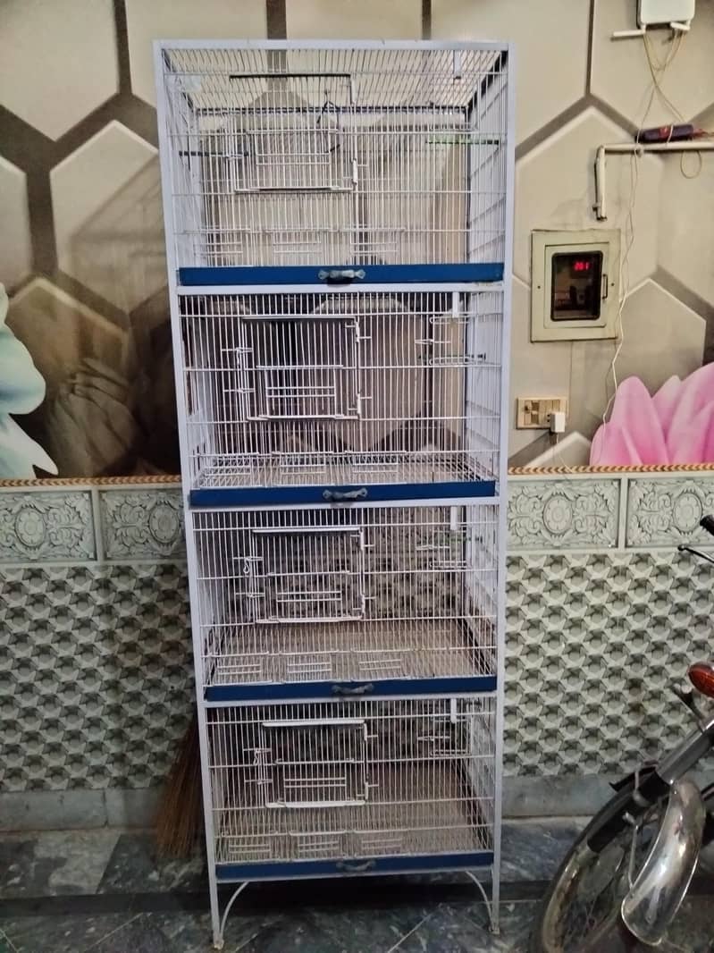 parrots cage 1